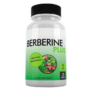 Berberine Capsules for Blood Sugar & Cholesterol | 60 Capsules | Gut Health, Cardiovascular Protection & Metabolism Support